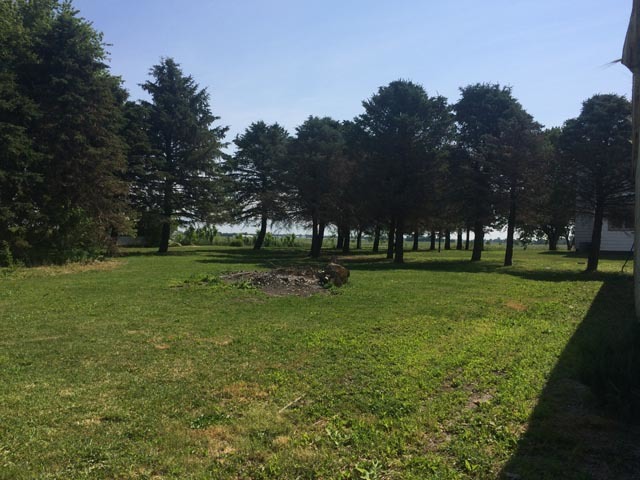4053 East 50th Road Mendota, IL 61342 - Photo 5 of 13 a view of green field