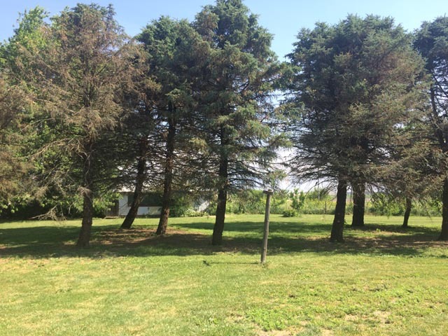 4053 East 50th Road Mendota, IL 61342 - Photo 8 of 13 a view of park with trees
