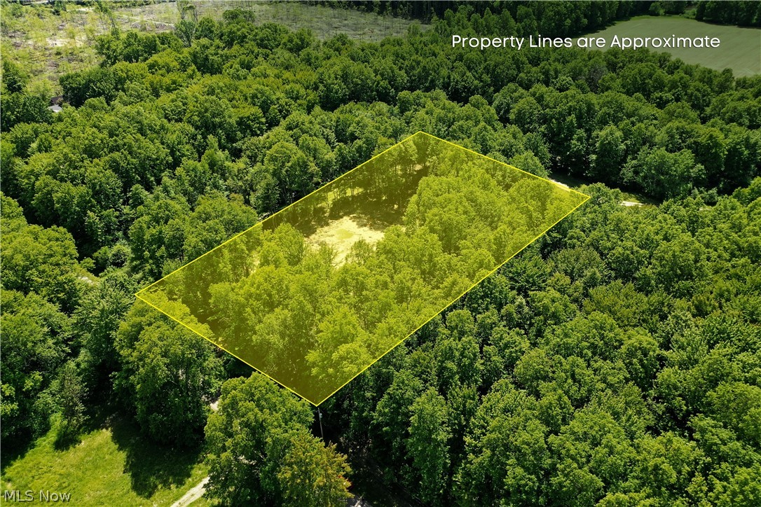 Mahan Denman Road Bristolville, OH 44402 - Photo 6 of 20
