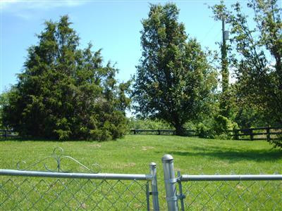 276 New Haven Road Lancaster, KY 40444 - Photo 10 of 23 Another view of the 1 acre lawn.