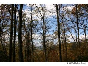 2 Miller Mountain Road Saluda, NC 28773 - Photo 1 of 2 Gallery Image 1