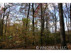 2 Miller Mountain Road Saluda, NC 28773 - Photo 2 of 2 Gallery Image 2