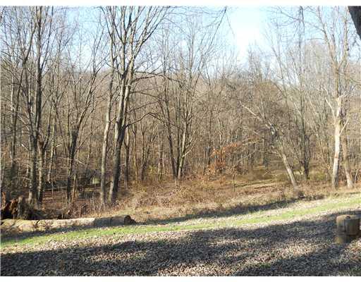 28 Vidoni Road Imperial, PA 15126 - Photo 15 of 17 Land.