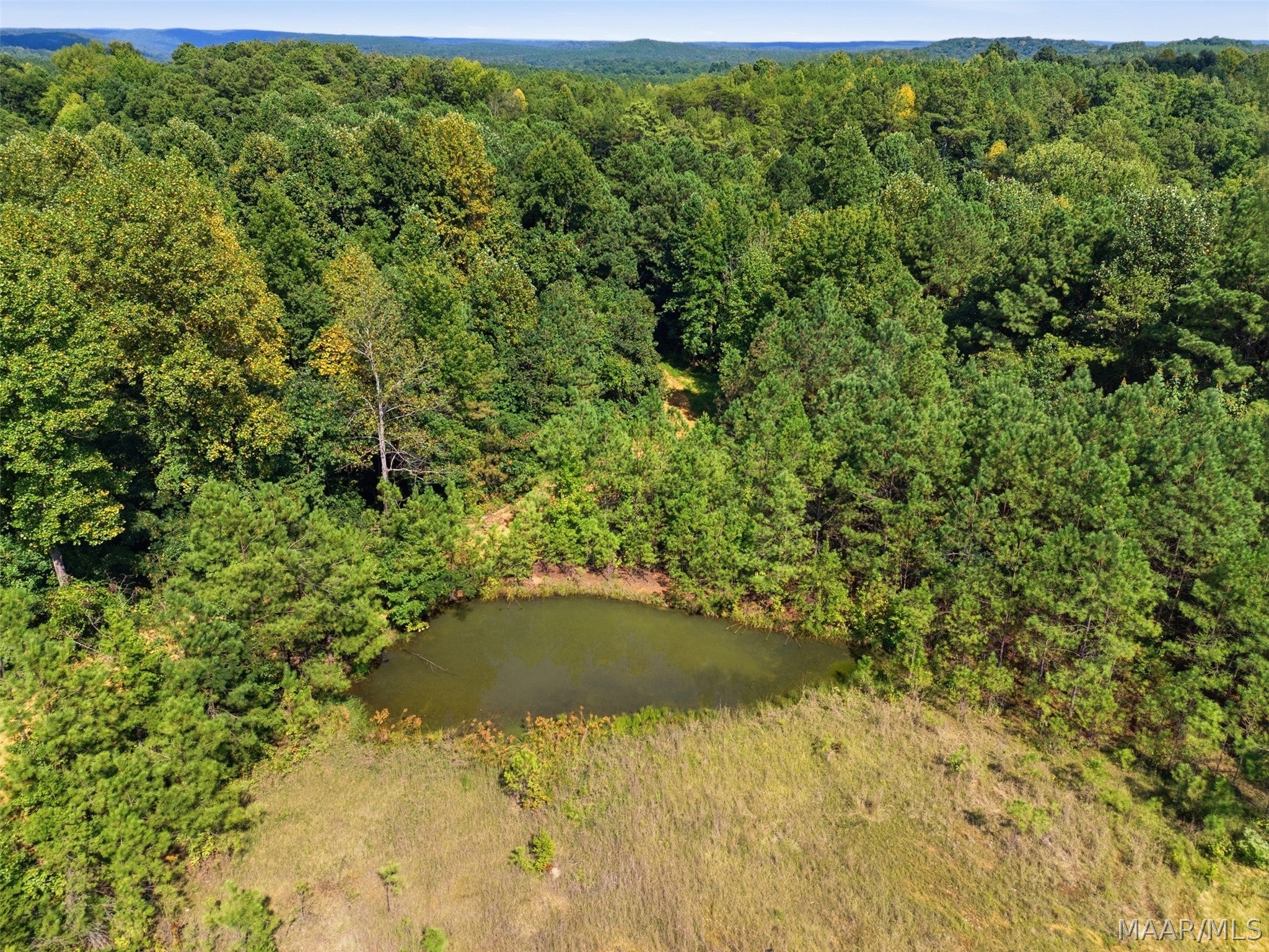 1 Mt Mills Road Tuscumbia, AL 35674 - Photo 14 of 14 Gallery Image 14