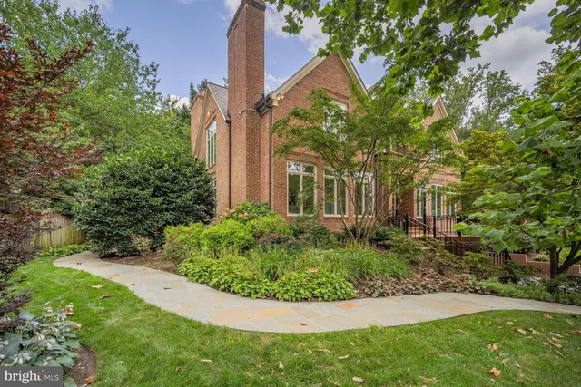 a view of a garden with plants