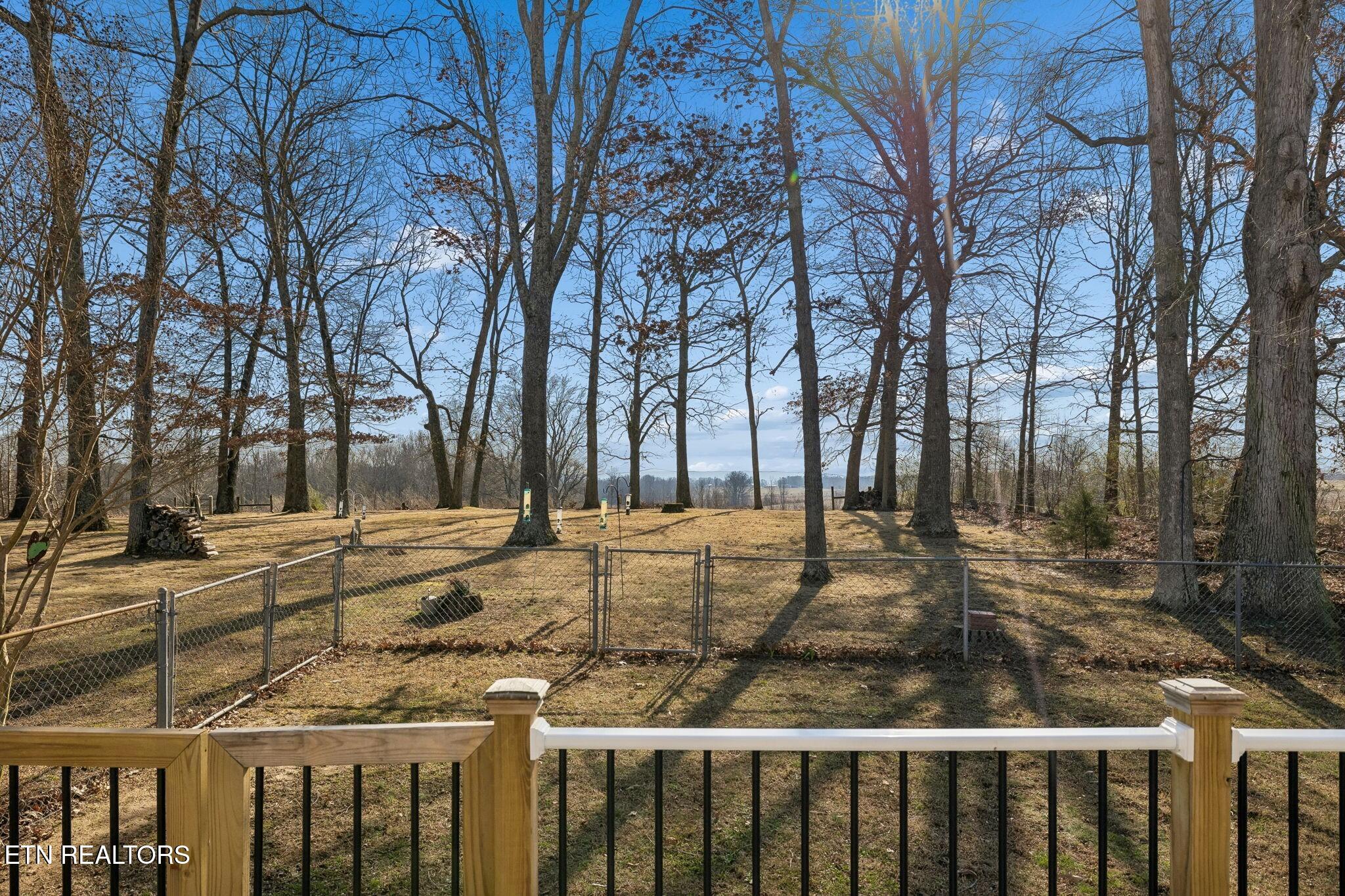 524 Willie Jarvis Road Sparta, TN 38583 - Photo 54 of 60 54