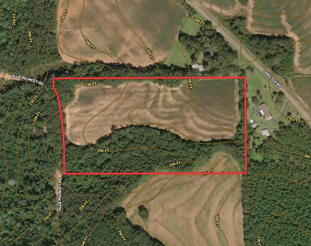 19-ac Ollie Pouncey Road Chancellor, AL 36316 - Photo 4 of 16