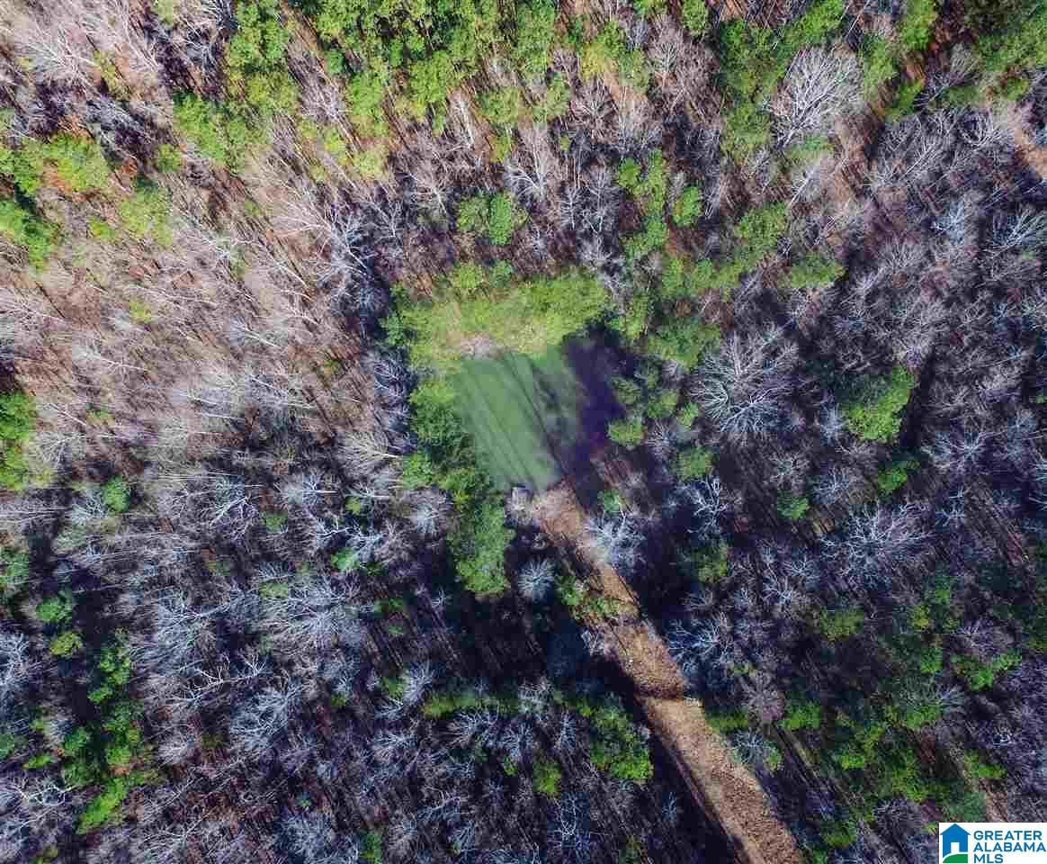 3364 County Road 329 Wedowee, AL 36278 - Photo 36 of 39