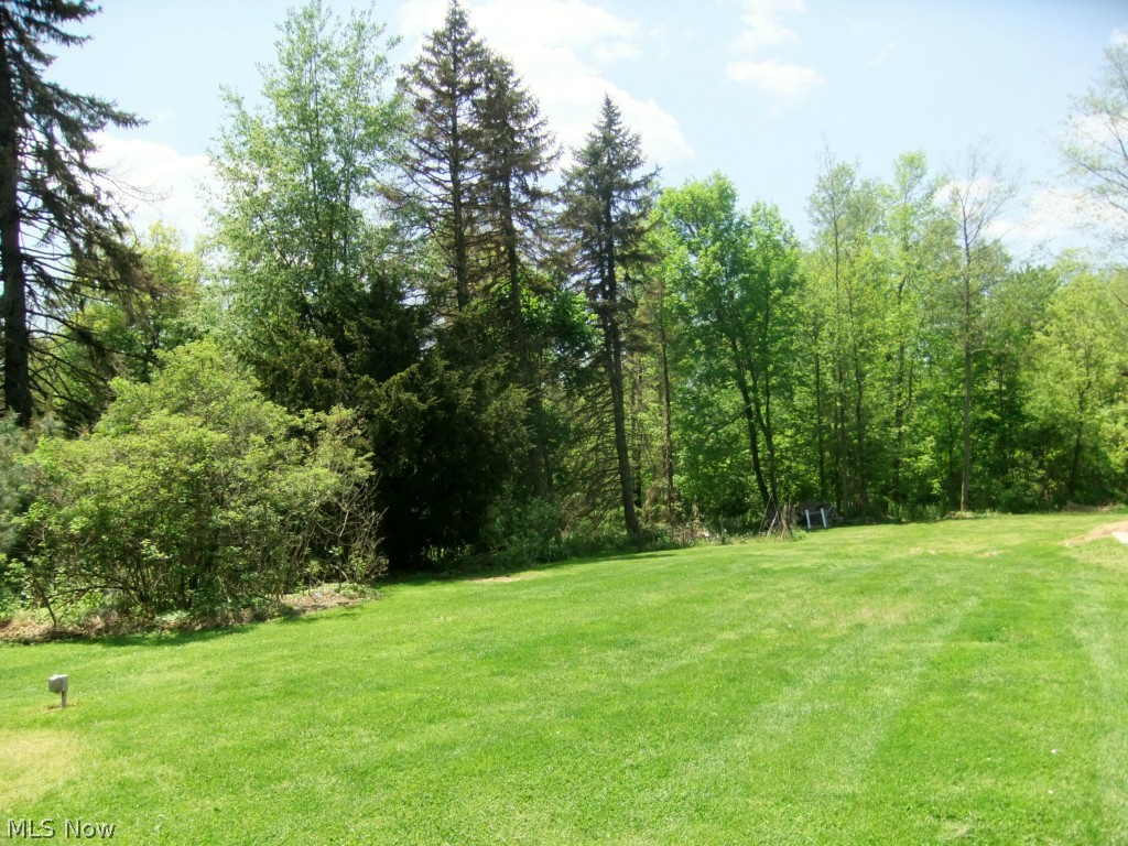 852 Brunsdorph Road Akron, OH 44333 - Photo 6 of 17 privacy galore in your back yard!