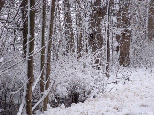 Chambers Winter