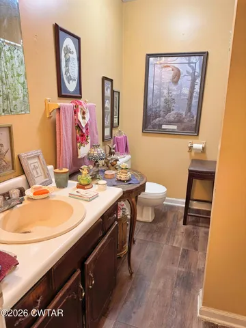 a bathroom with a sink vanity and a toilet
