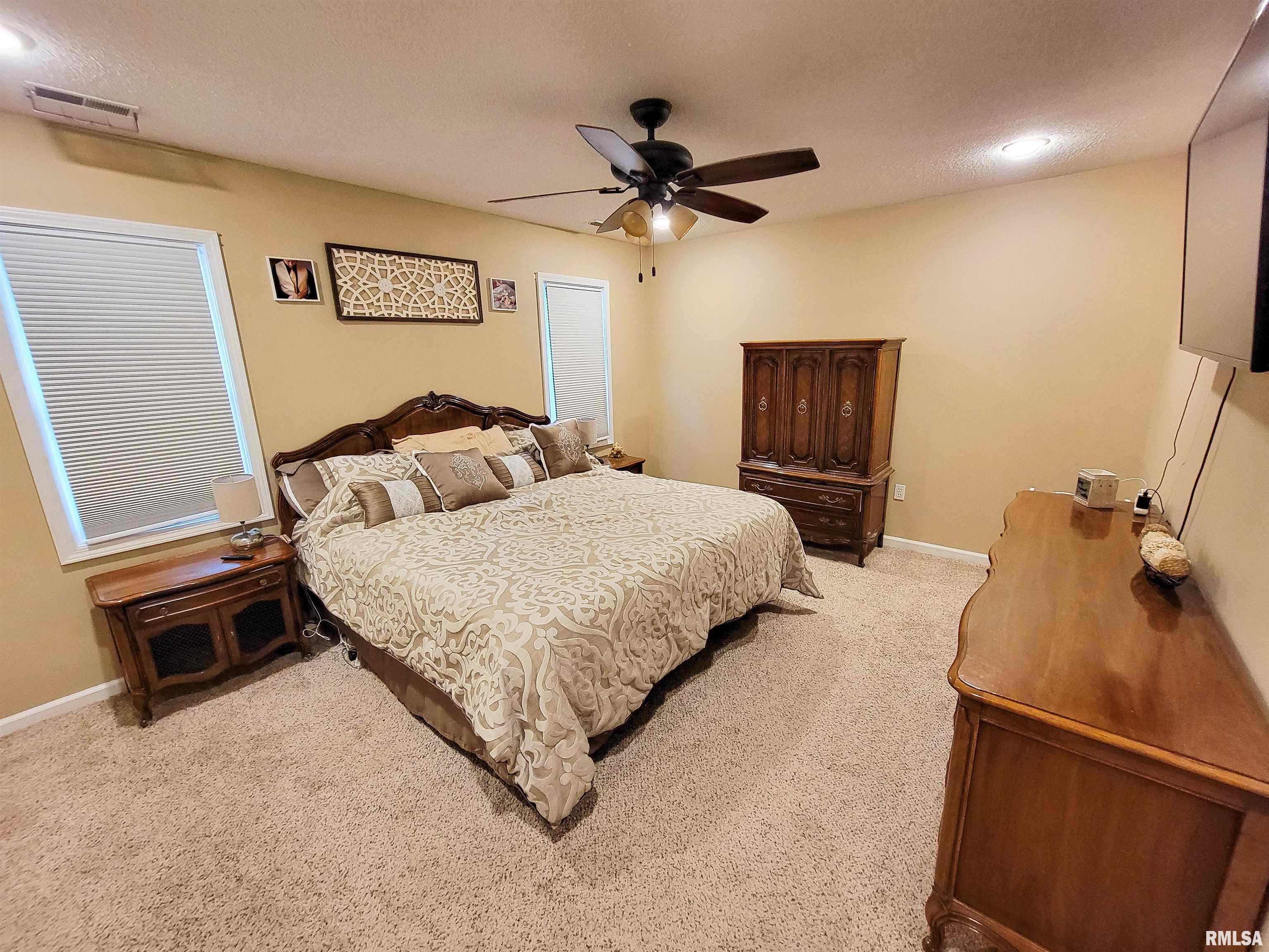 352 Hancock Drive Flora, IL 62839 - Photo 46 of 98