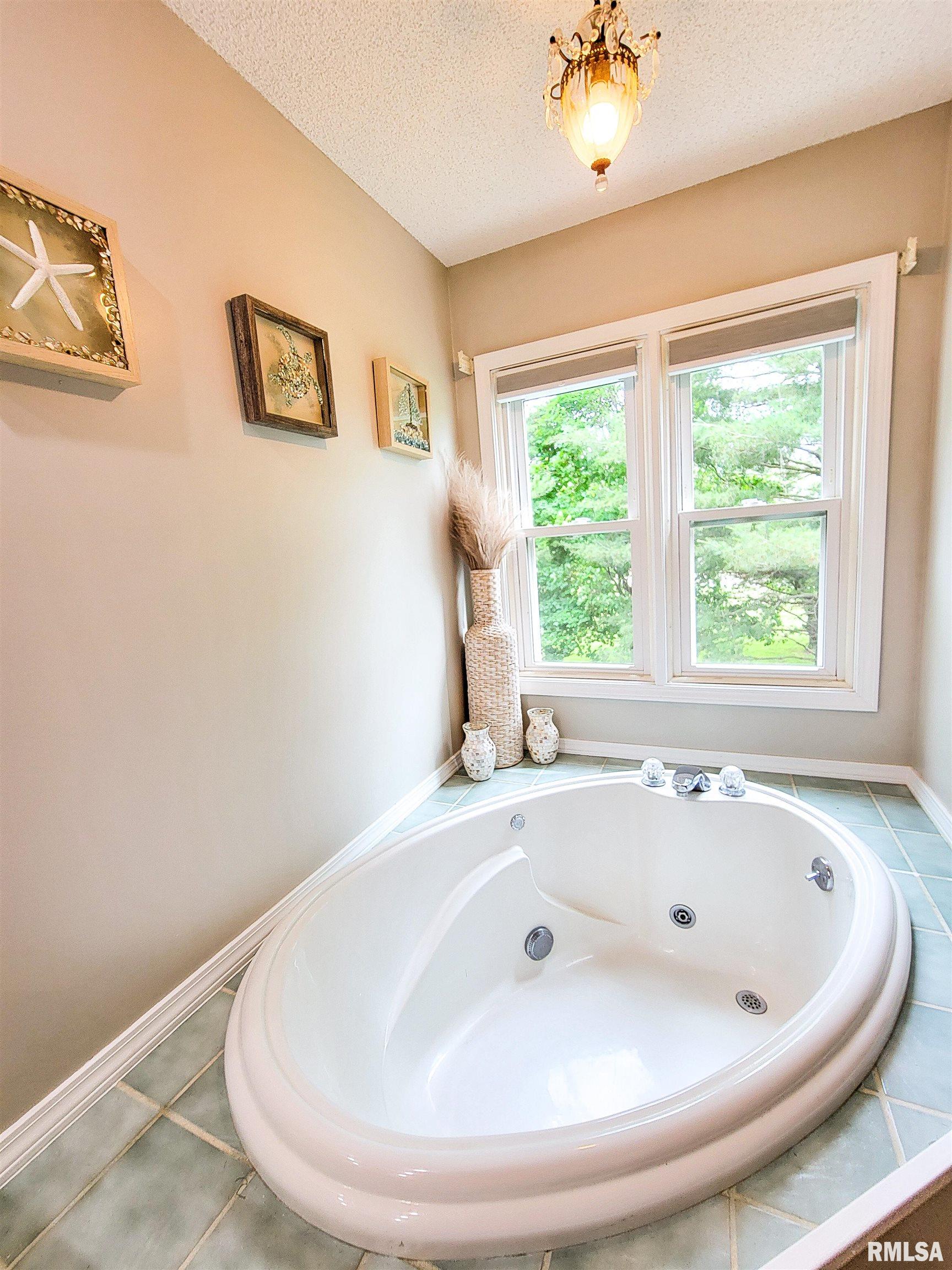 352 Hancock Drive Flora, IL 62839 - Photo 51 of 98