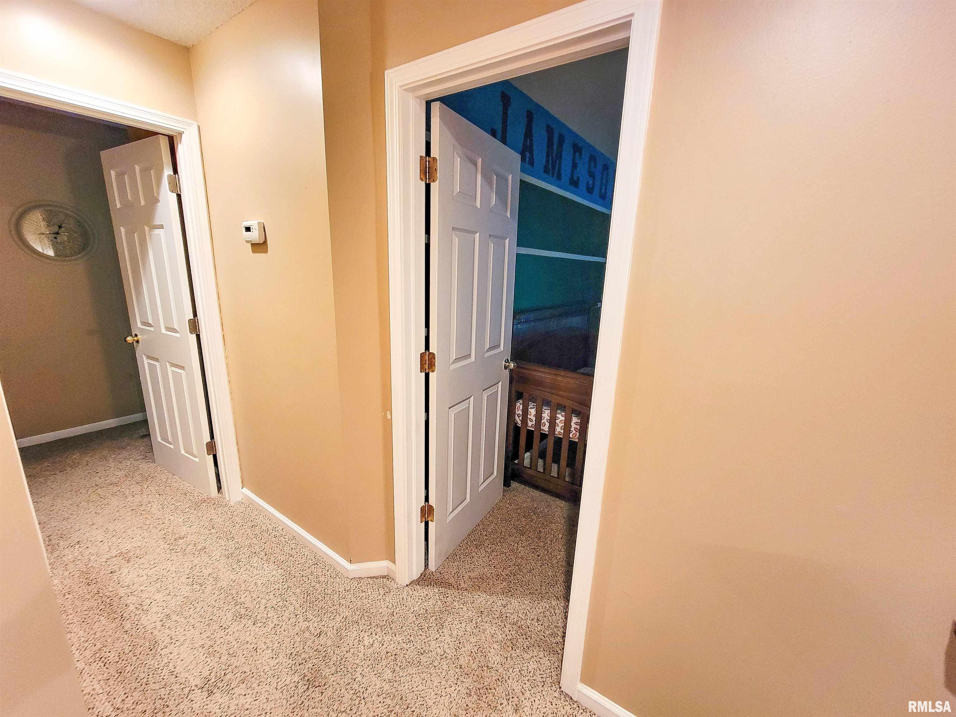 352 Hancock Drive Flora, IL 62839 - Photo 54 of 98