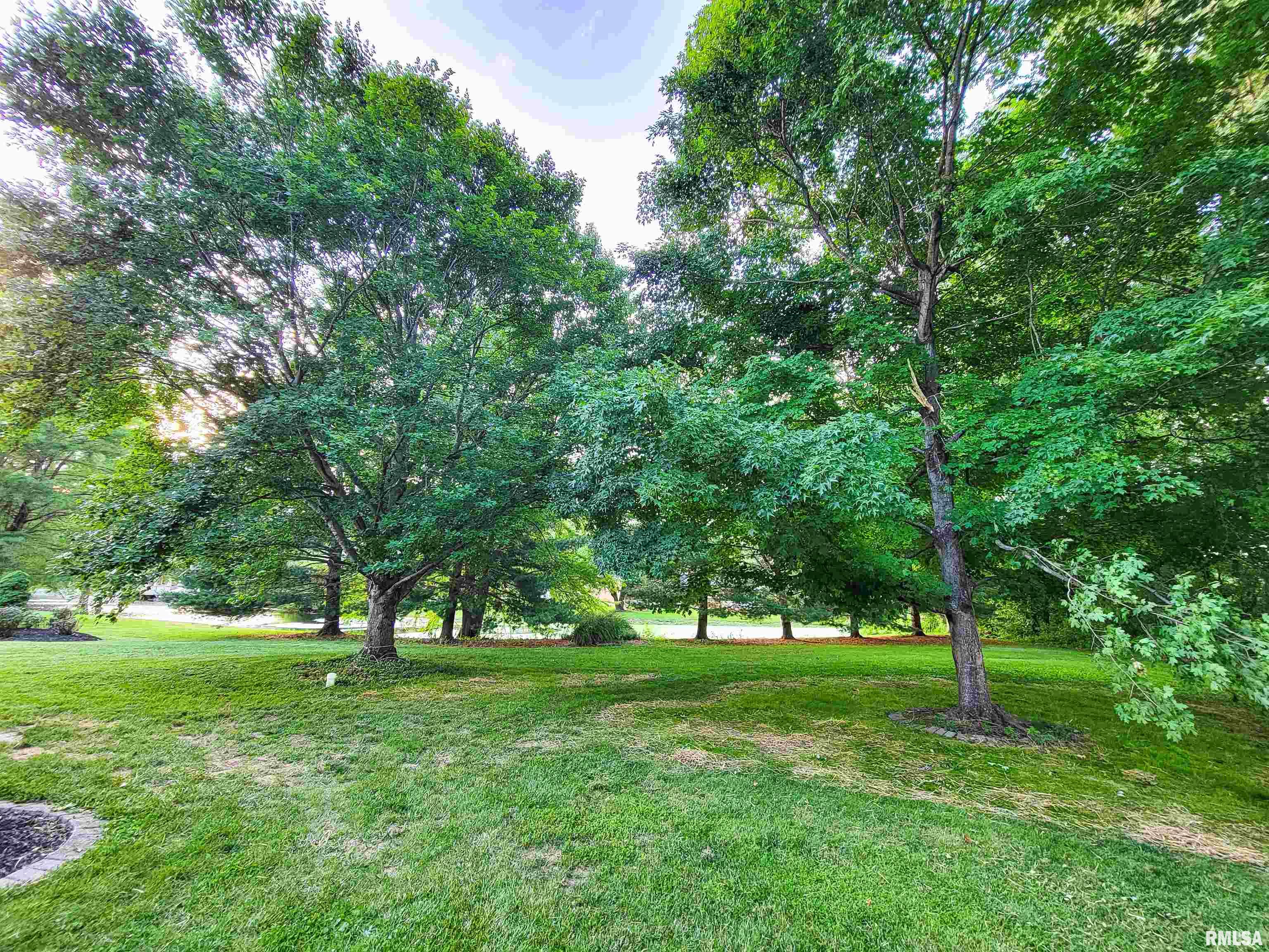 352 Hancock Drive Flora, IL 62839 - Photo 10 of 98