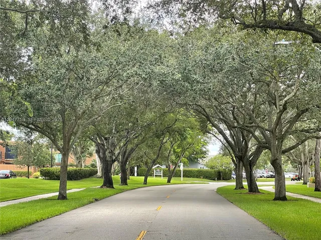 a view of a park with tree s