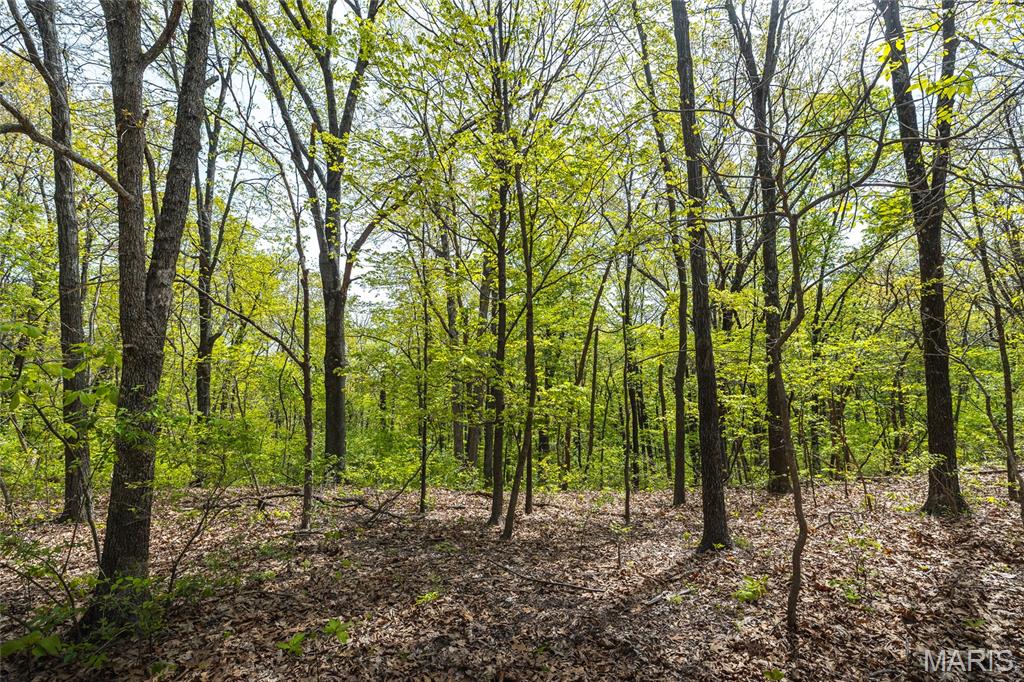 17816 Powerline Road Grafton, IL 62037 - Photo 44 of 50