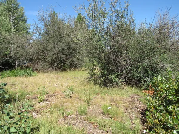 $10,000 | 0 Forest View Drive, Chiloquin, OR 97624