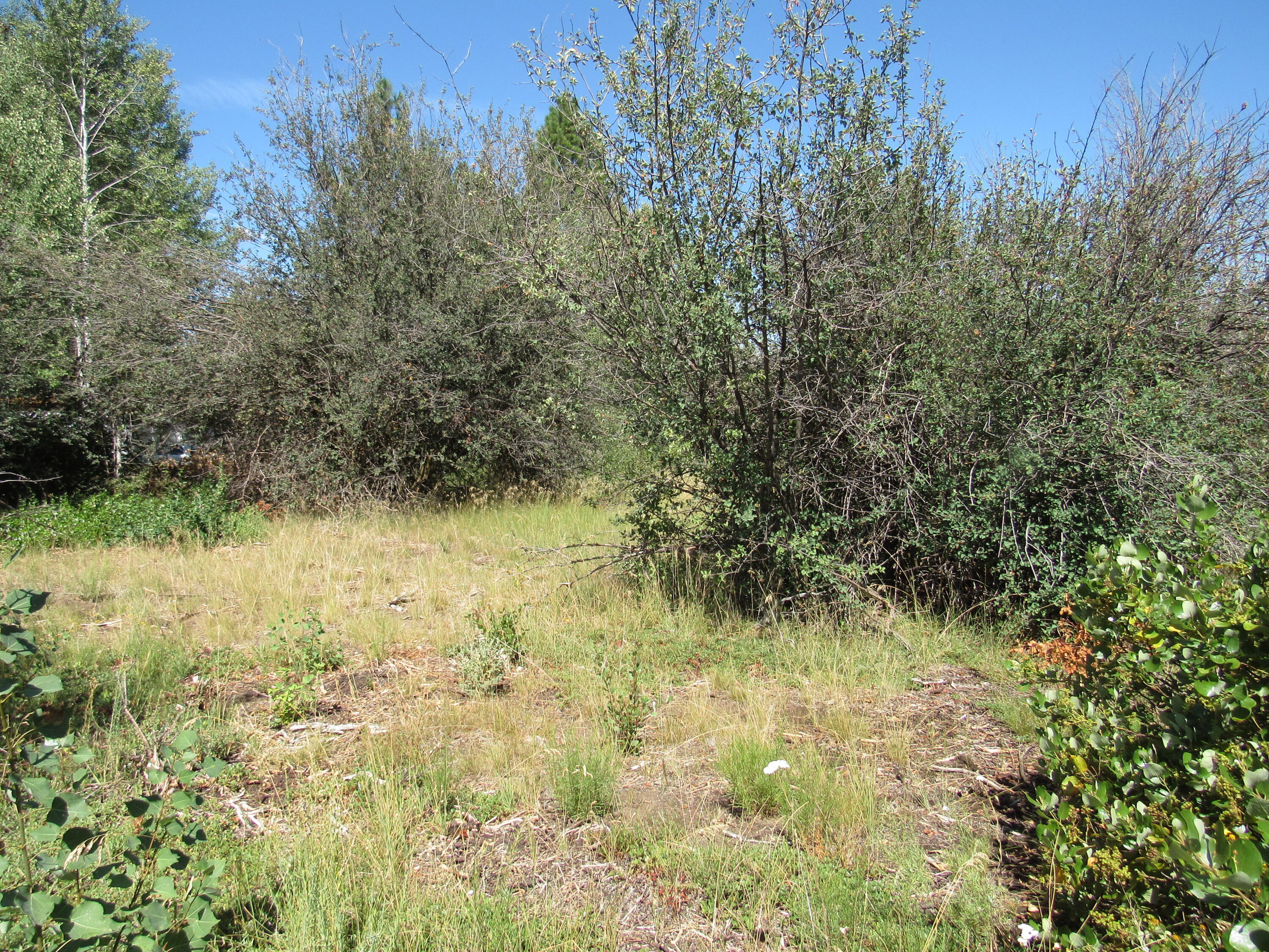 0 Forest View Drive Chiloquin, OR 97624 - Photo 1 of 13 IMG_3160