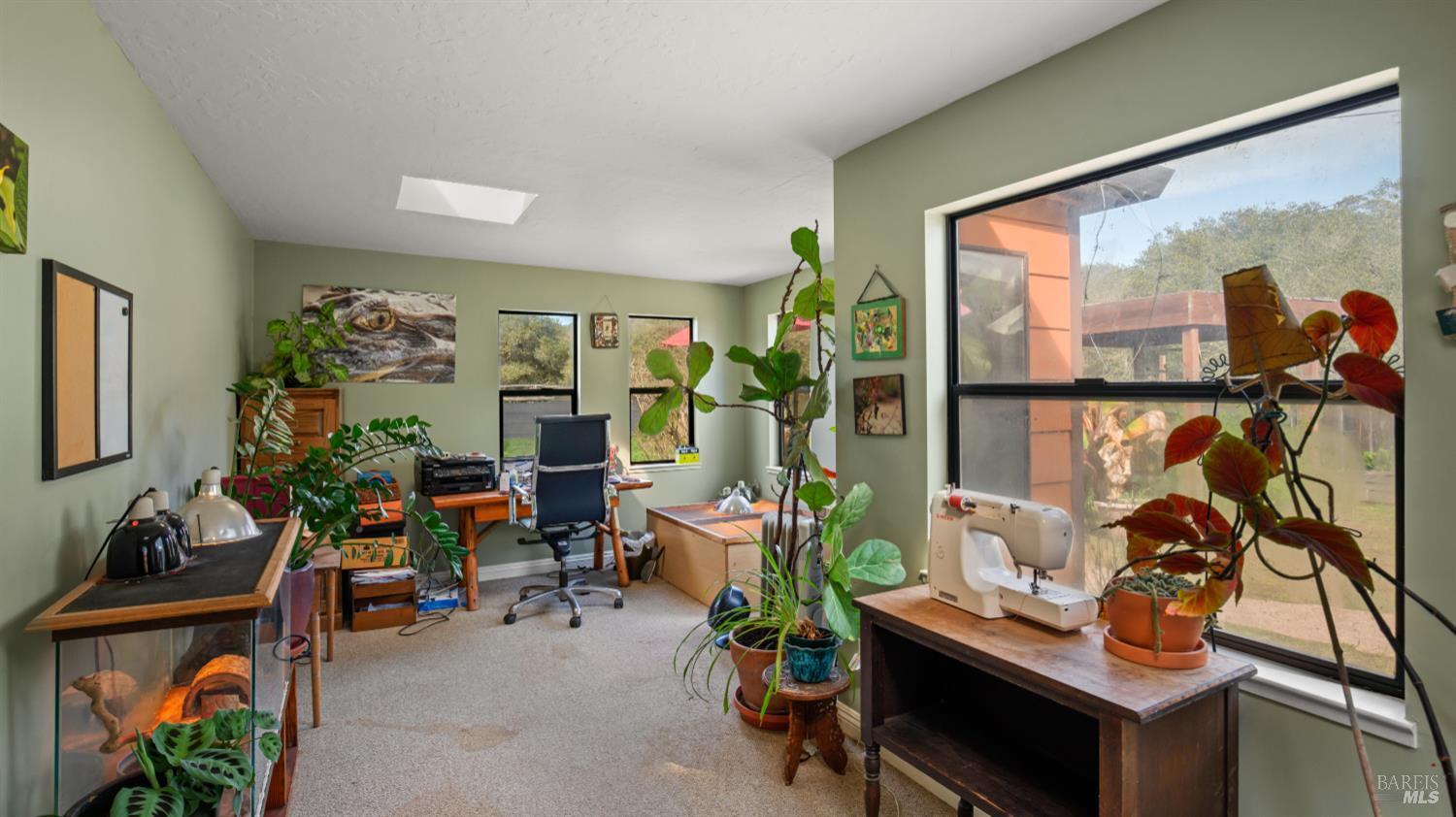 5932 Fredricks Road Sebastopol, CA 95472 - Photo 24 of 99