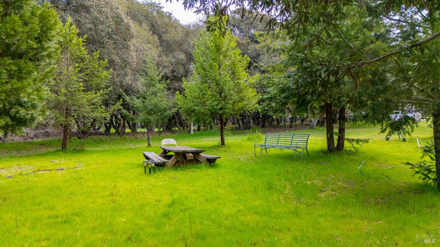 5932 Fredricks Road Sebastopol, CA 95472 - Photo 91 of 99