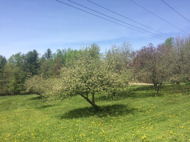 509 North Cambridge Road Cambridge, VT 05464 - Photo 13 of 16