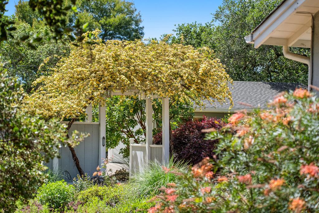614 Graham Hill Road Santa Cruz, CA 95060 - Photo 11 of 44 Gallery Image 11