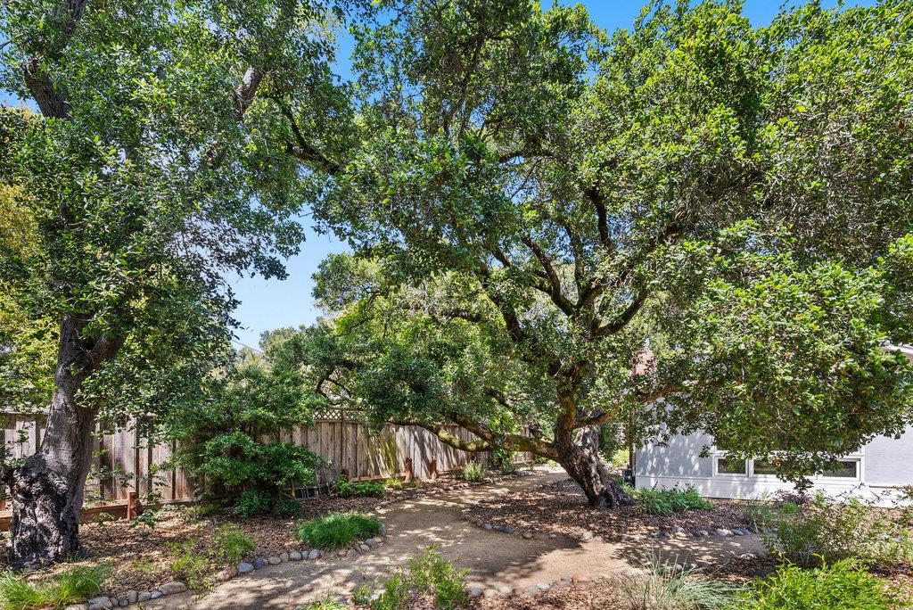 614 Graham Hill Road Santa Cruz, CA 95060 - Photo 42 of 44 Gallery Image 42
