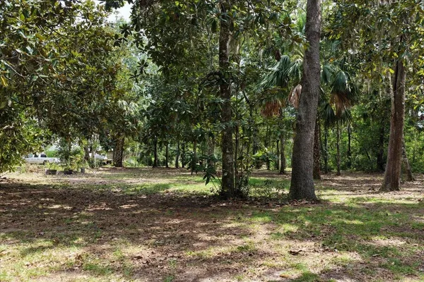 $595,000 | 1710 Southeast 1st Street, Steinhatchee, FL 32359