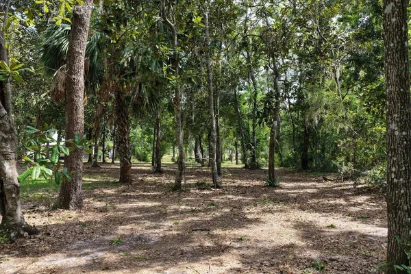 $584,000 | 1710 Southeast 1st Street, Steinhatchee, FL 32359