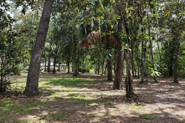 $584,000 | 1710 Southeast 1st Street, Steinhatchee, FL 32359
