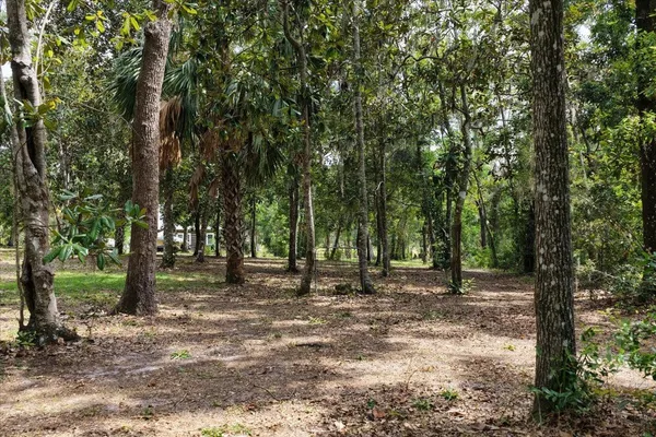 $584,000 | 1710 Southeast 1st Street, Steinhatchee, FL 32359