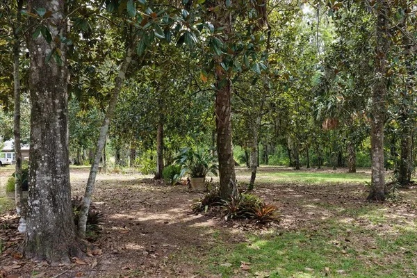 $584,000 | 1710 Southeast 1st Street, Steinhatchee, FL 32359