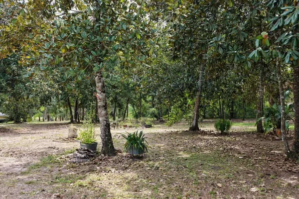$584,000 | 1710 Southeast 1st Street, Steinhatchee, FL 32359