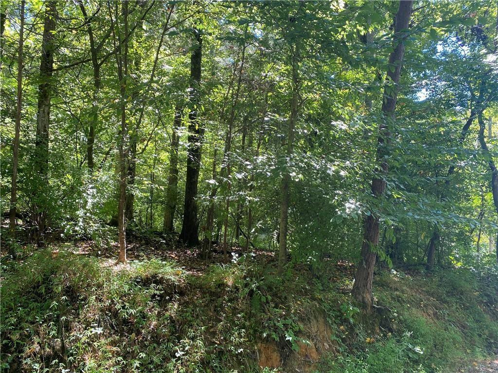 0 Gardner Holt Road Burlington, NC 27215 - Photo 2 of 2