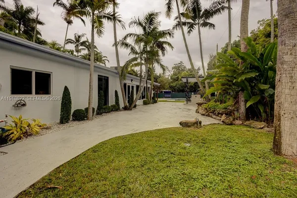 a view of a yard with a house and a large tree