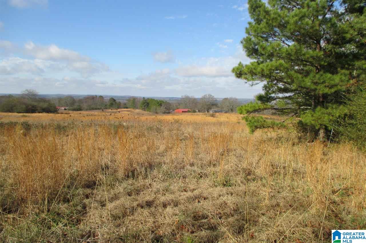 0 Washburn Drive Oneonta, AL 35121 - Photo 6 of 8