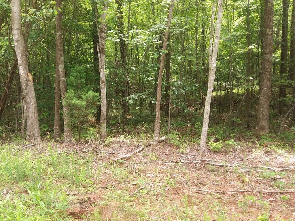 633 Lone Pine Road Crewe, VA 23930 - Photo 1 of 5 Gallery Image 1