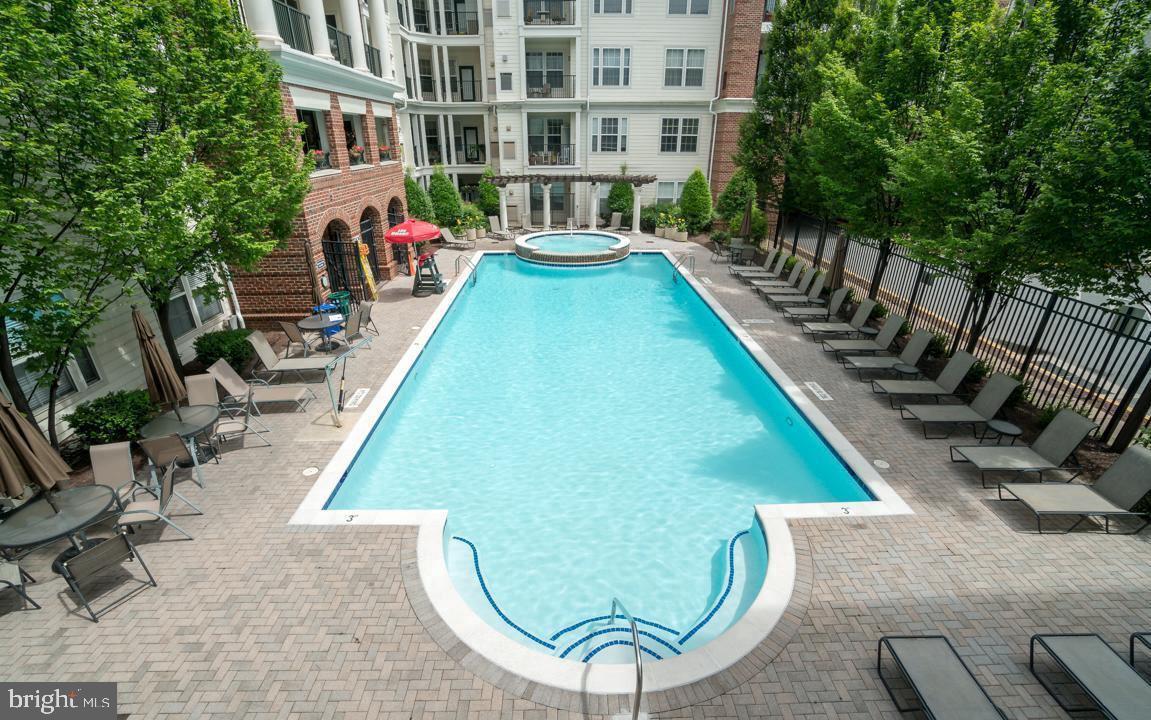 7 Booth Street, Unit 202 Gaithersburg, MD 20878 - Photo 22 of 32 a view of a swimming pool with a lounge chairs