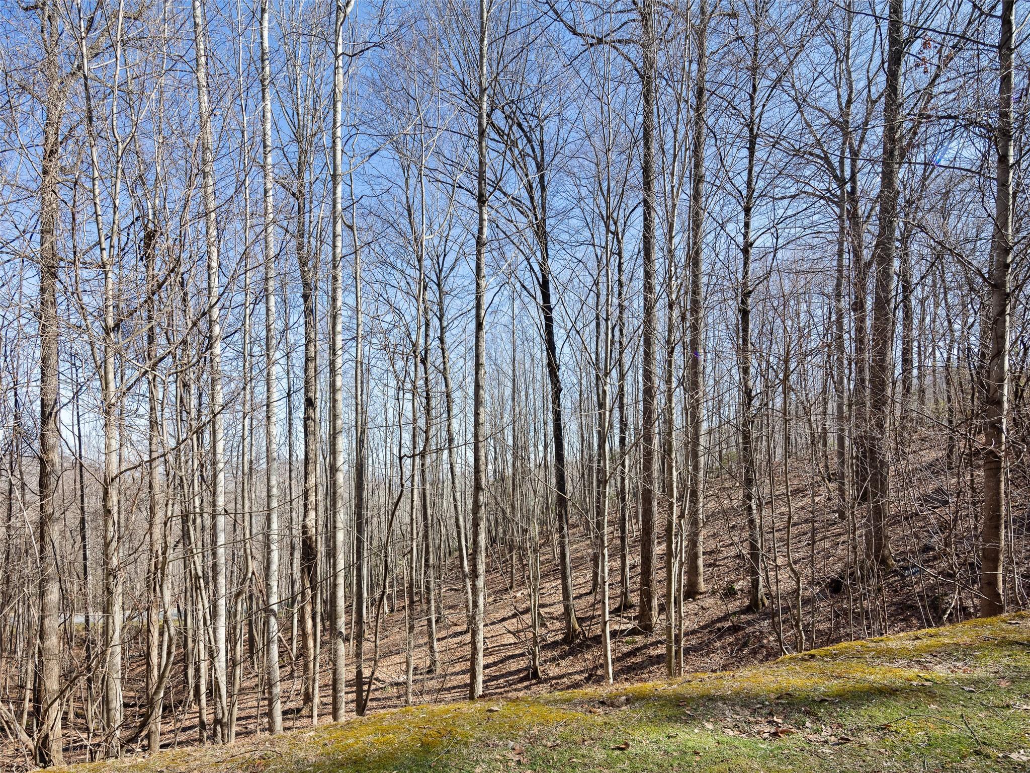 312 Boundary Tree Pass, Unit NONE Arden, NC 28704 - Photo 1 of 20