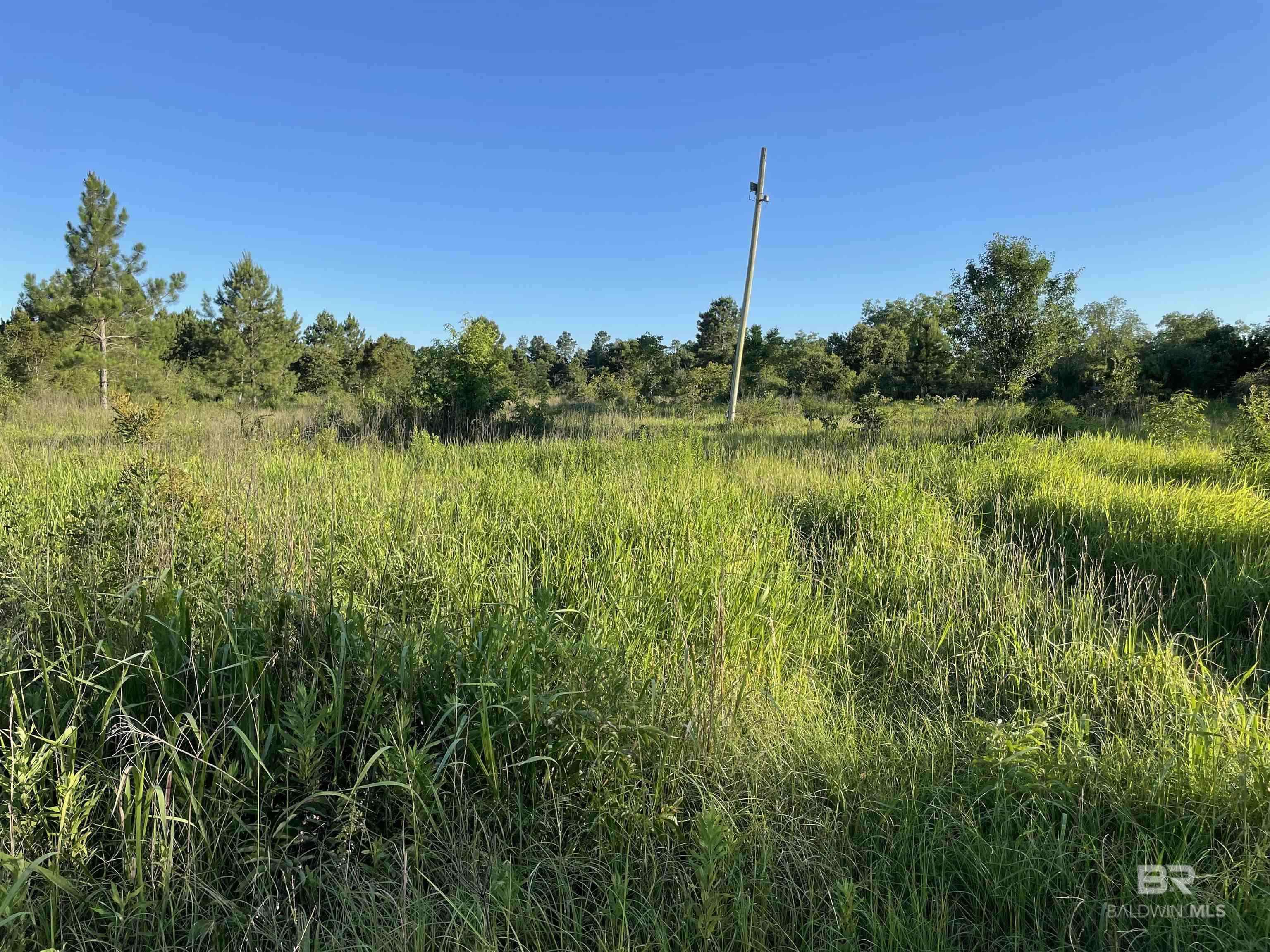 30532 Highway 98 Elberta, AL 36530 - Photo 1 of 1 View