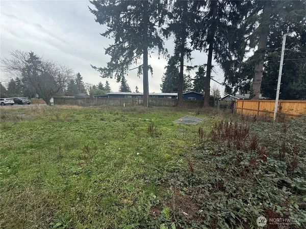 a view of backyard with green space