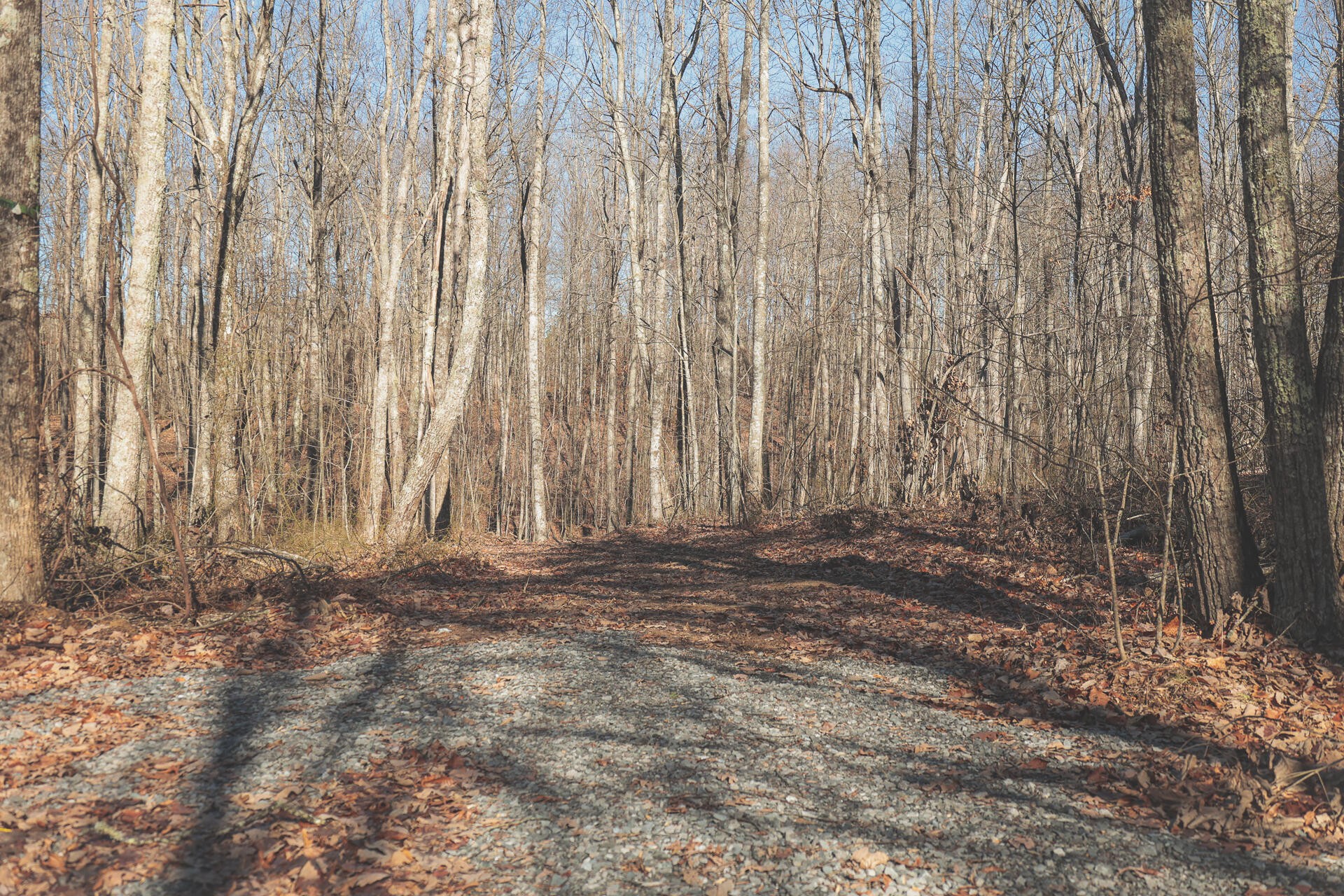 0 Palmer Firetower Road Whitwell, TN 37397 - Photo 16 of 49 Gallery Image 16
