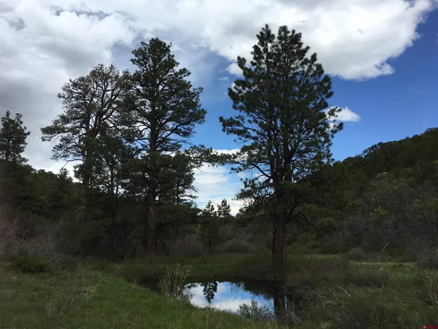 a view of a pathway with a garden