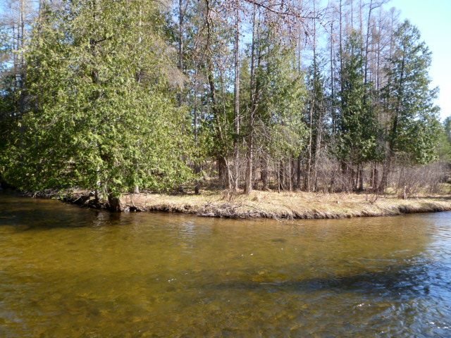 5222 Pumpanickel Road Traverse City, MI 49696 - Photo 3 of 40 1799540-2.JPG