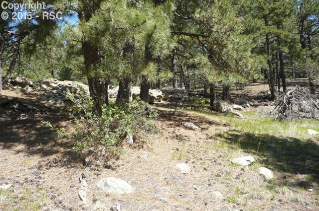 18145 Cumbres Road Peyton, CO 80831 - Photo 6 of 30 Gallery Image 6