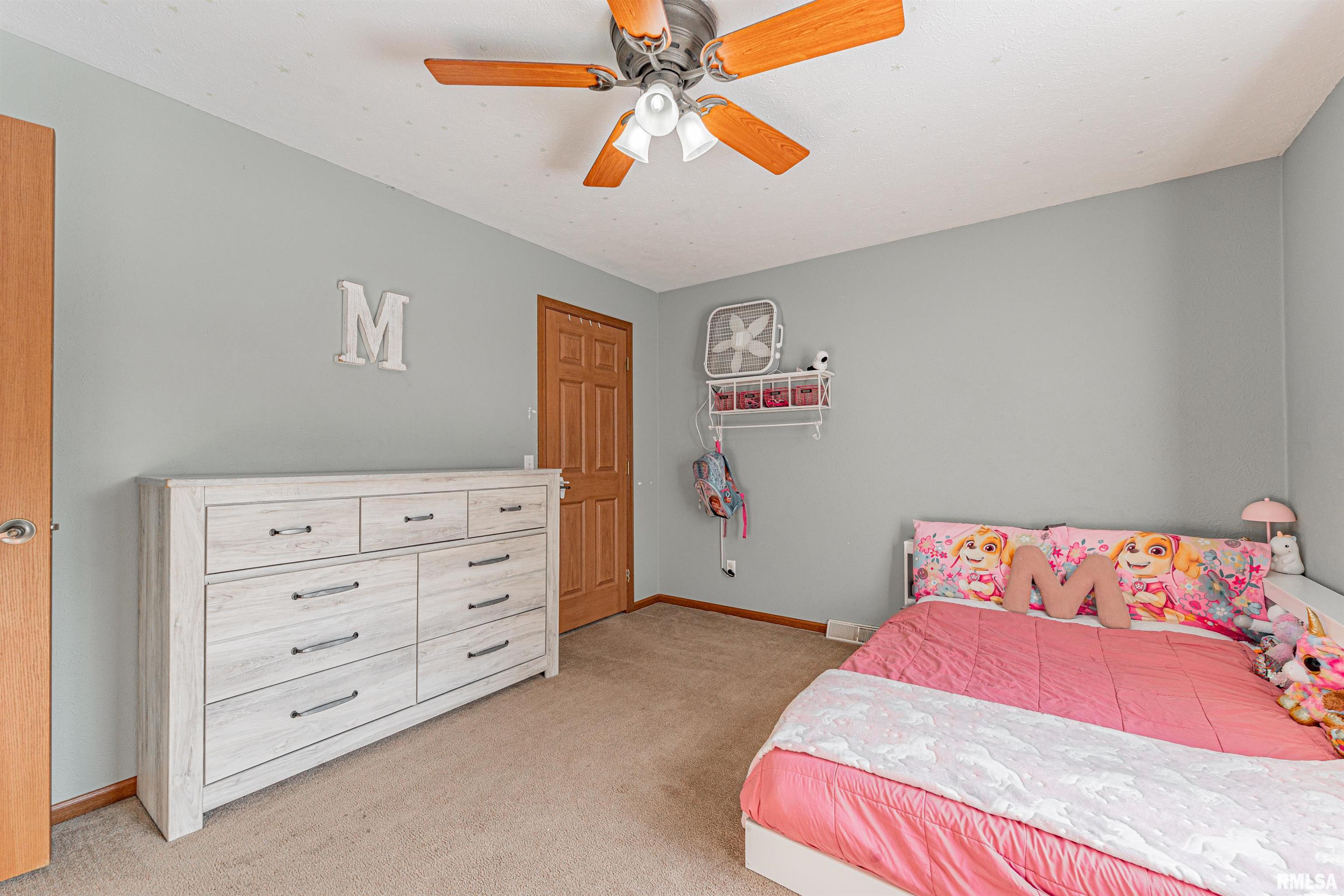 523 Market Street Emden, IL 62635 - Photo 19 of 28