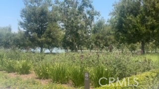 13 Greenleaf, Unit 5 Irvine, CA 92604 - Photo 31 of 46