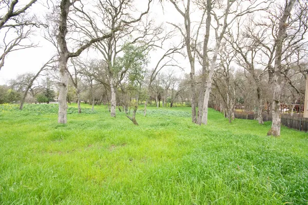 a view of a park with trees