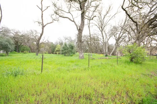 a view of a backyard with a garden